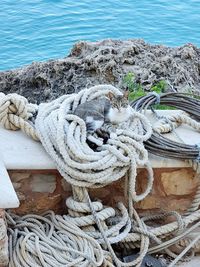 High angle view of rope tied to bollard at harbor