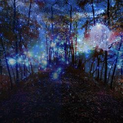 Close-up of illuminated trees against sky at night
