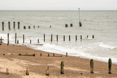 Wooden posts on beach against sky