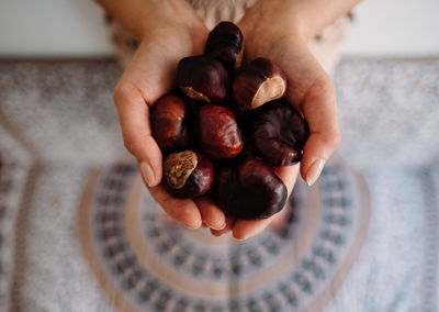 Cropped hands holding chestnuts