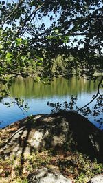 Scenic view of lake in forest against sky