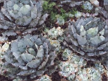 Full frame shot of rocks