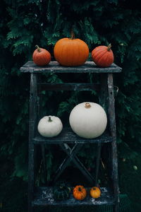 Pumpkins on wooden table in garden