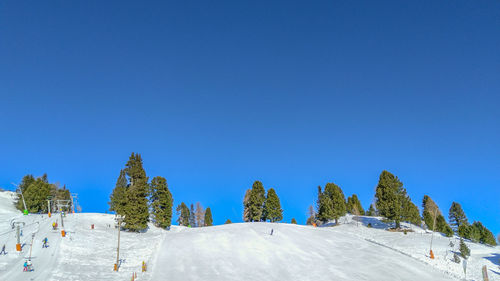 Scenic view of trees against clear blue sky