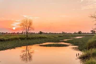 Scenic view of field against sky during sunset