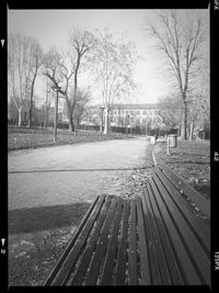 Bare trees in park