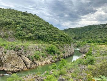Scenic view of river amidst trees against sky