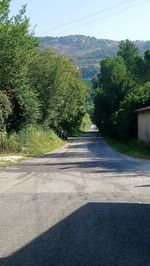 Road amidst trees and plants in city