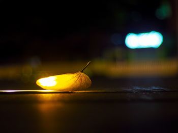 Close-up of dry leaf on table