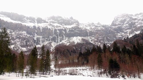 Scenic view of forest against sky during winter