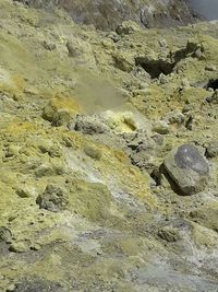 High angle view of rocks in water