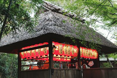 Low angle view of lanterns hanging on tree