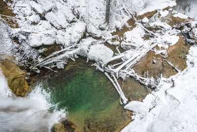 High angle view of stream amidst snow covered plants during winter