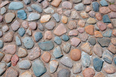 The texture or background is a sidewalk paved with cobblestones of different colors. top view