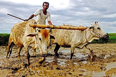 Portrait of man standing on land against sky