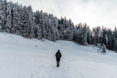 Rear view of man walking on snow covered landscape