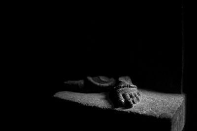 Close-up of cat relaxing on black background