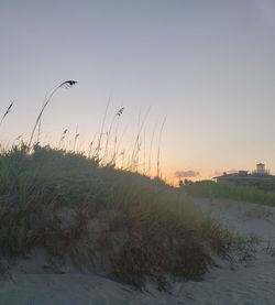 Scenic view of land against clear sky during sunset