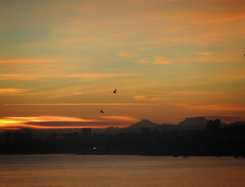 sunset, beauty in nature, scenics - nature, sky, orange color, waterfront, flying, silhouette, tranquility, nature, tranquil scene, mid-air, bird, water, idyllic, cloud - sky, no people, animal themes, vertebrate, animal, outdoors