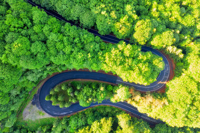 High angle view of trees on land