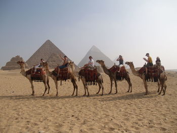 Horses on desert against sky