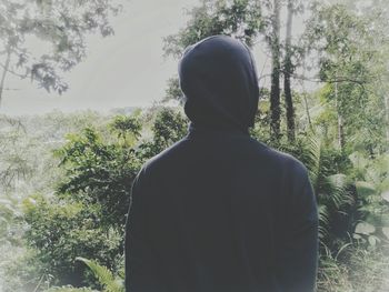 Rear view of man standing in forest