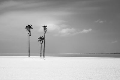 Scenic view of sea against sky during winter