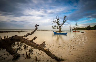 Scenic view of beach against sky