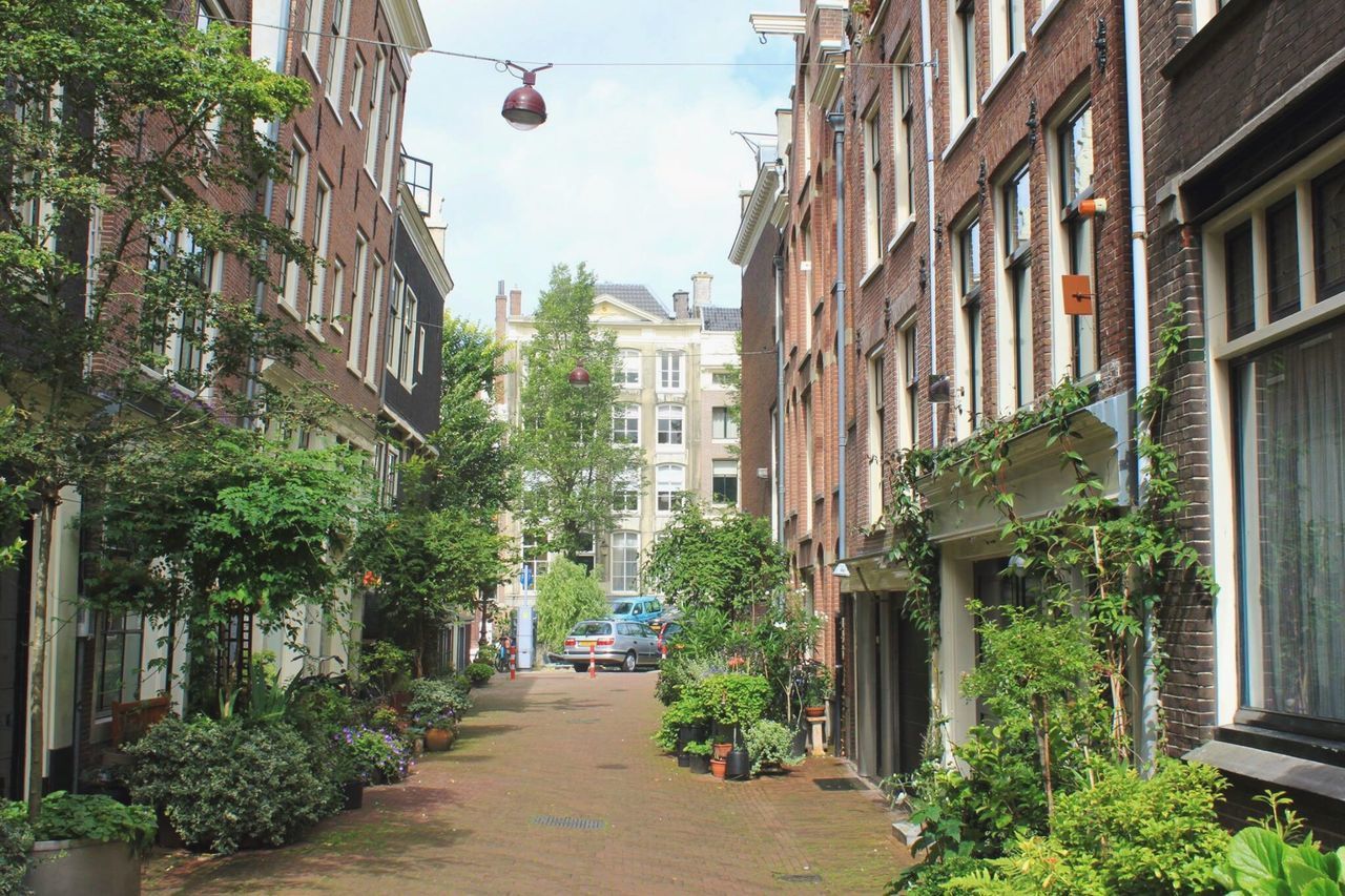 STREET AMIDST BUILDINGS