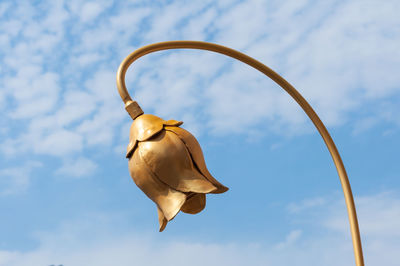 Low angle view of a horse hanging against sky