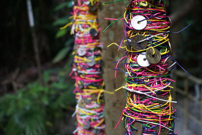 Close-up of decoration hanging on tree