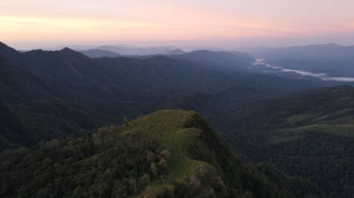 environment