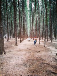 Siblings playing amidst trees