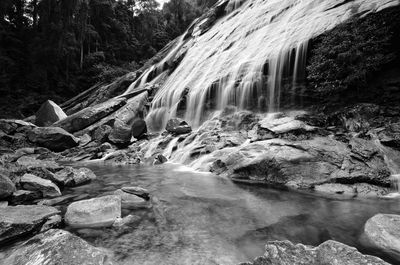 Scenic view of waterfall in forest