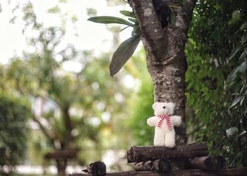 Close-up of stuffed toy against trees