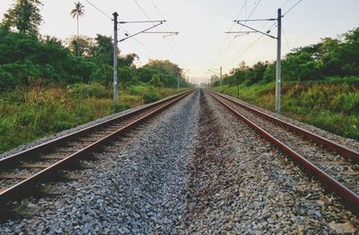 Railroad track amidst trees against sky