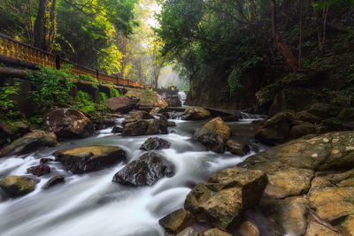 Scenic view of waterfall in forest