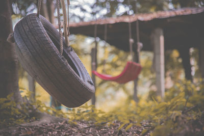 Close-up of swing hanging on field