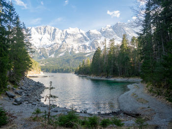 Scenic view of lake by trees against sky