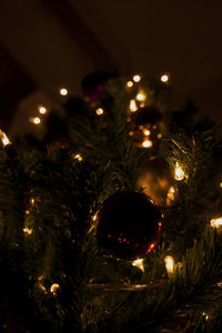 Close-up of illuminated christmas tree at night