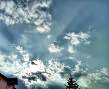 Low angle view of trees against sky