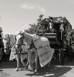 Group of people on vehicle against sky