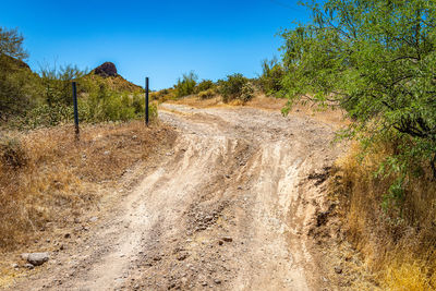 Dirt road along plants and trees against clear sky