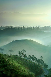 Scenic view of landscape against sky