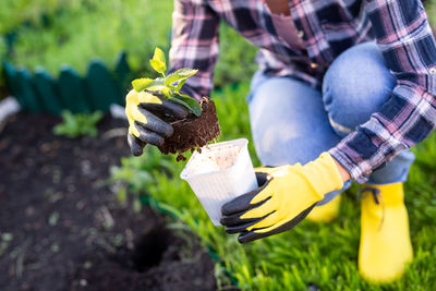 Midsection of person holding plant