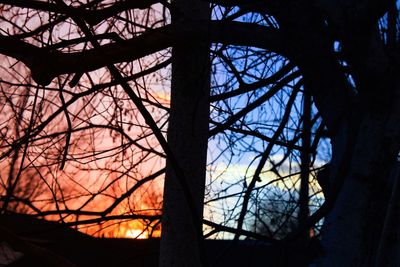 Low angle view of silhouette bare trees against sky
