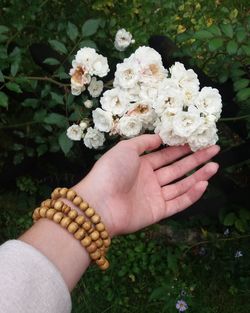 Close-up of hand holding flowering plant