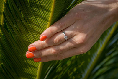 Close-up of woman holding leaf