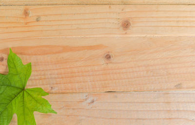 Full frame shot of wooden wall