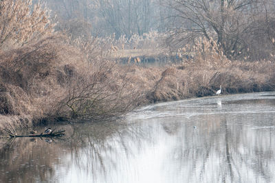 Scenic view of lake during winter